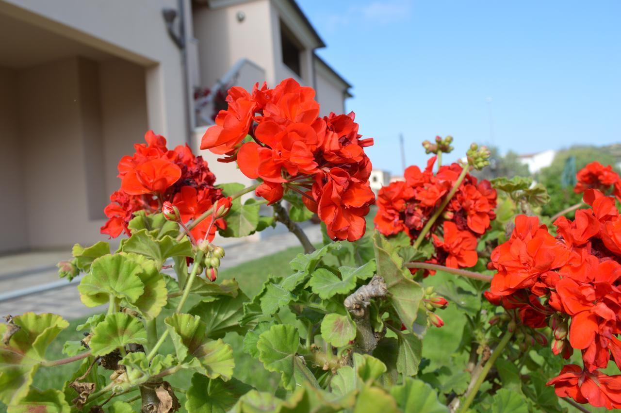Guest Rooms Affittacamere San Teodoro (Sardinia) Exterior foto
