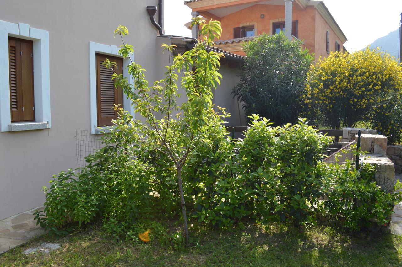 Guest Rooms Affittacamere San Teodoro (Sardinia) Exterior foto